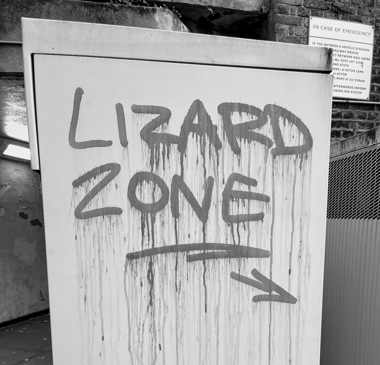 Graffiti reading 'Lizard Zone'